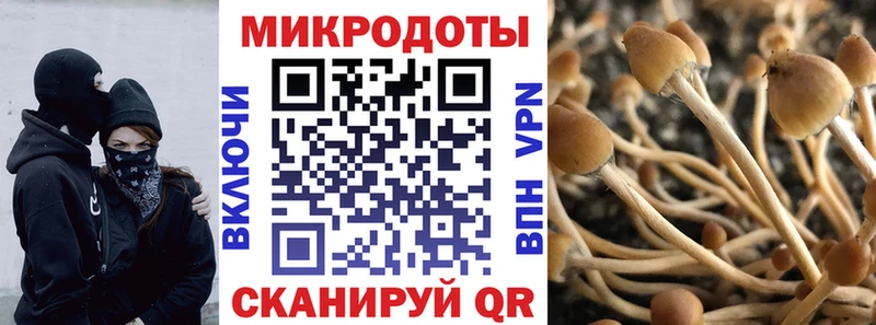 Галлюциногенные грибы мицелий  mega маркетплейс  Кашин 